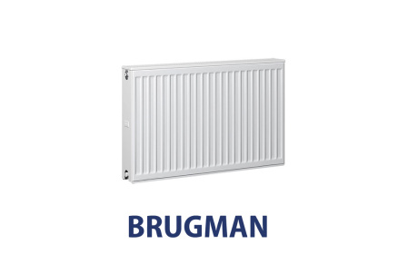 Семинар-презентация СТАЛЬНЫЕ РАДИАТОРЫ BRUGMAN