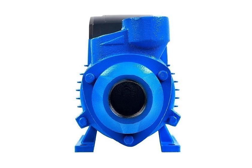 Насос ВИХРЕВИК 40/40 Ч Джилекс 