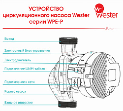 Насос циркуляционный Wester WPE 25-180P 180 без гаек